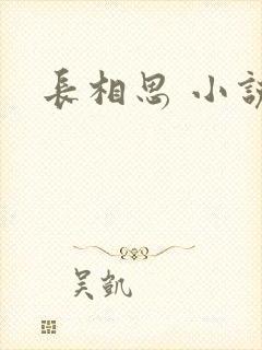 长相思 小说封面