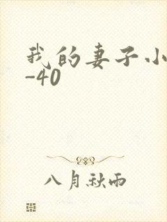 我的妻子小谨1-40