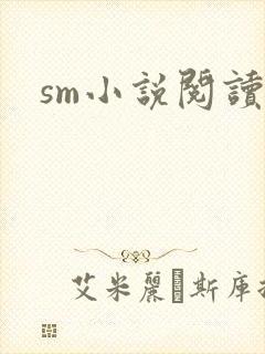 sm小说阅读