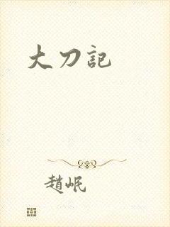 大刀记封面