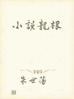 小说龙根