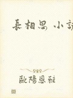 长相思 小说封面