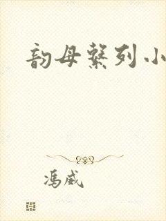 韵母系列小说封面