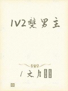 1V2双男主