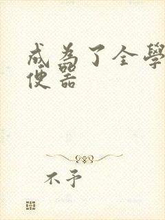 成为了全学校坐便器