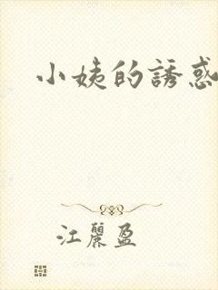 小姨的诱惑小说封面