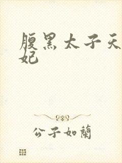 腹黑太子天降萌妃