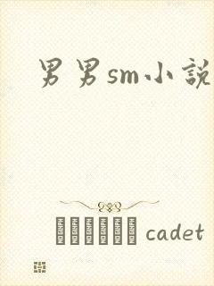 男男sm小说