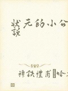 状元的小公主小说