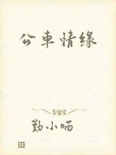 公车情缘