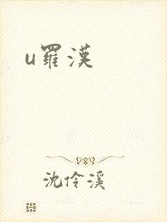 u罗汉封面