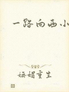一路向西小说