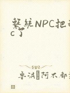 系统NPC把我c了