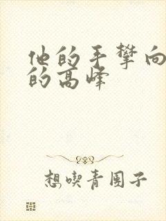 他的手攀向了我的高峰封面