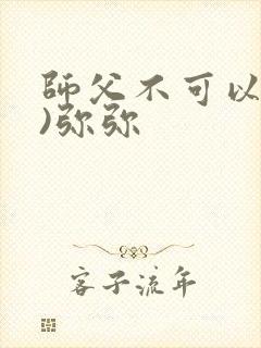 师父不可以(限)弥弥封面