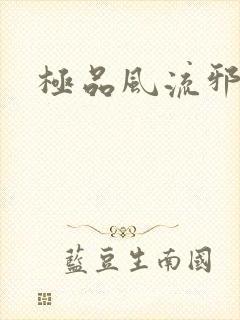 极品风流邪少封面