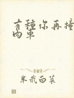 有种你再撞一下肉车