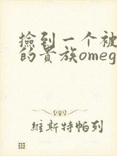 捡到一个被抹布的贵族omega封面