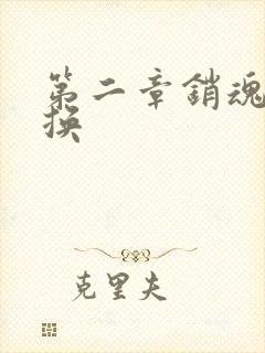 第二章销魂的交换