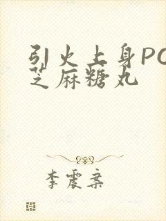 引火上身POP芝麻糖丸