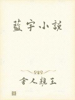 蓝宇小说