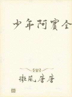 少年阿宾全集