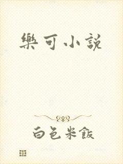 乐可小说封面