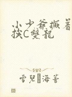 小少爷撅着屁股挨C双龙封面