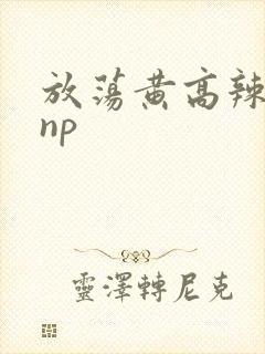 放荡黄高辣h文np封面
