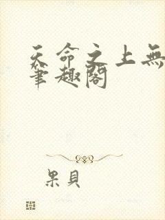 天命之上无弹窗笔趣阁