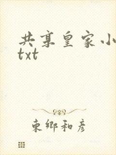 共享皇家小公主txt