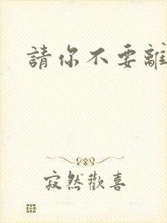 请你不要离开我