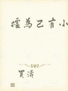 据为己有小说封面