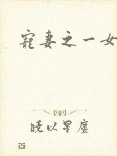 宠妻之一女二夫封面