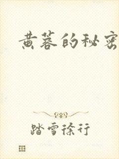 黄蓉的秘密封面