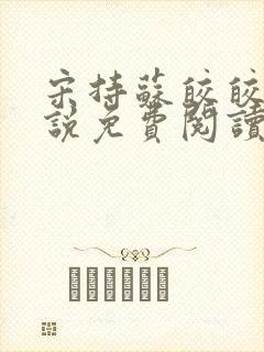 宋持苏皎皎的小说免费阅读封面