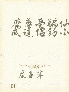 魔尊受骗仙尊攻成道侣的小说