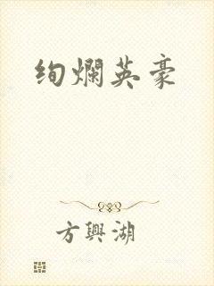 绚烂英豪封面