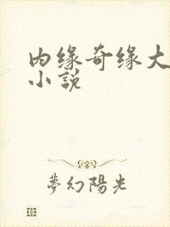 内缘奇缘大团圆小说
