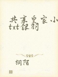共享皇家小公主txt银羽