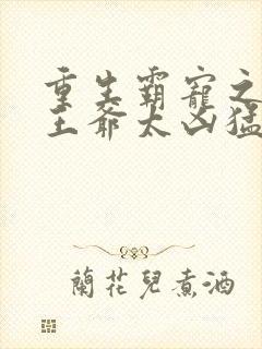 重生霸宠之摄政王爷太凶猛