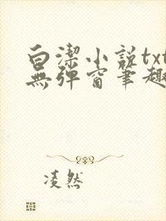 白洁小说txt无弹窗笔趣阁封面