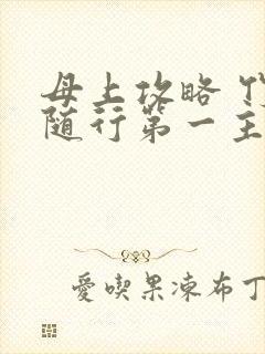 母上攻略 竹影随行第一主板