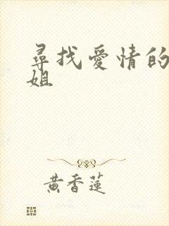 寻找爱情的邹小姐封面