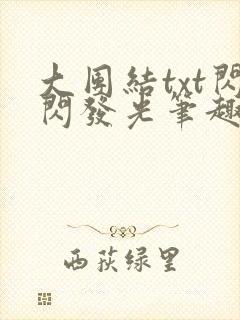 大团结txt闪闪发光笔趣阁