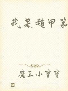 我是赵甲第小说