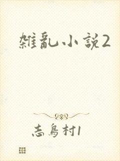 杂乱小说2