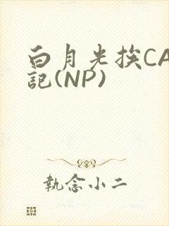 白月光挨CAO记(NP)