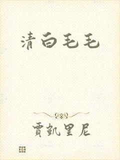 清白毛毛封面