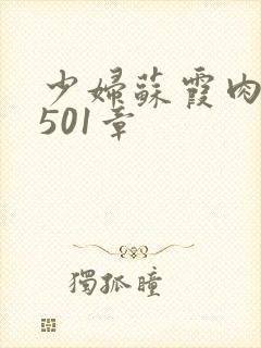 少妇苏霞肉欲第501章